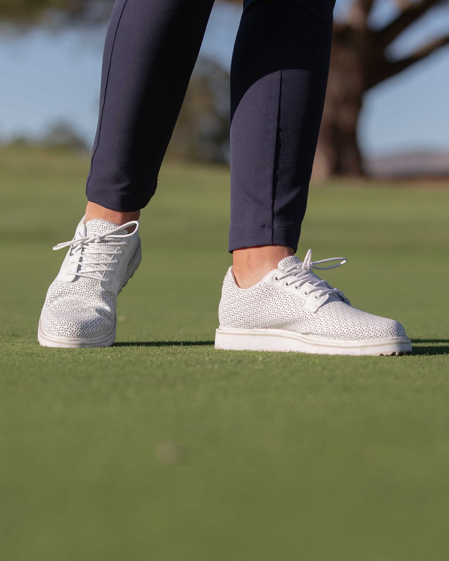 Straight Down Bella Perforated Derby Shoe - White